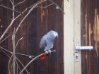 348-DSC05901.JPG.small.jpeg