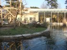 349-DSC05903.JPG.small.jpeg