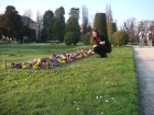 361-DSC05919.JPG.small.jpeg