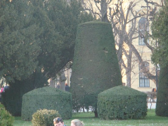 363-DSC05921.JPG.medium.jpeg