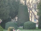 363-DSC05921.JPG.small.jpeg