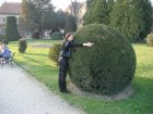366-DSC05924.JPG.small.jpeg