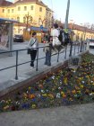 370-DSC05928.JPG.small.jpeg