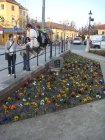 371-DSC05929.JPG.small.jpeg