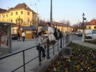 372-DSC05930.JPG.small.jpeg