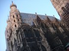 380-DSC05938.JPG.small.jpeg