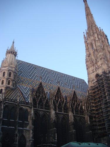 381-DSC05939.JPG.medium.jpeg