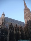 381-DSC05939.JPG.small.jpeg