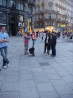 383-DSC05941.JPG.small.jpeg
