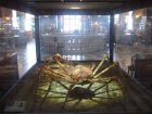 052-DSC06006.JPG.small.jpeg