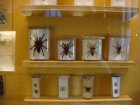 059-DSC06014.JPG.small.jpeg