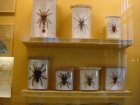 060-DSC06015.JPG.small.jpeg
