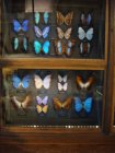 063-DSC06018.JPG.small.jpeg