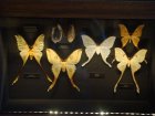 065-DSC06020.JPG.small.jpeg