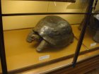 068-DSC06023.JPG.small.jpeg