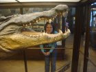 069-DSC06024.JPG.small.jpeg