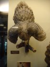 072-DSC06027.JPG.small.jpeg