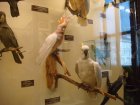 073-DSC06028.JPG.small.jpeg