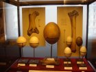 077-DSC06032.JPG.small.jpeg