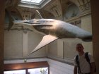 078-DSC06033.JPG.small.jpeg