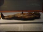 094-DSC06049.JPG.small.jpeg