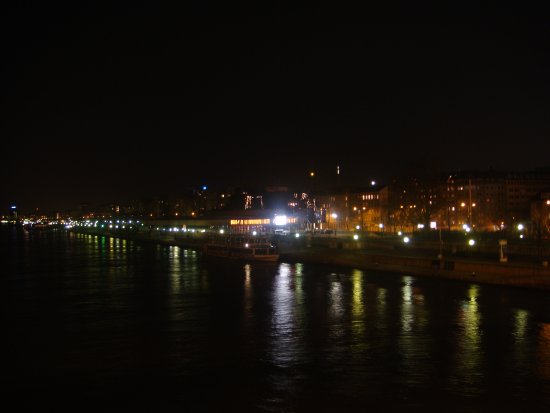 181-DSC06138.JPG.medium.jpeg