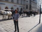 012-DSC06181.JPG.small.jpeg