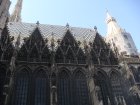 019-DSC06188.JPG.small.jpeg