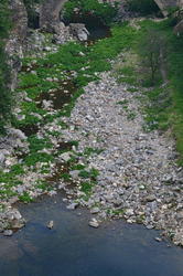 DSC_3146.JPG
