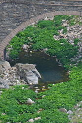 DSC_3147.JPG