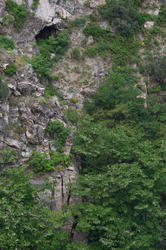 DSC_3167.JPG