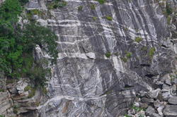 DSC_3169.JPG