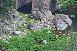 DSC_3170.JPG