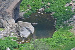 DSC_3171.JPG