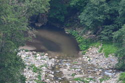 DSC_3173.JPG