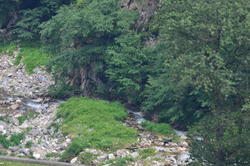 DSC_3174.JPG