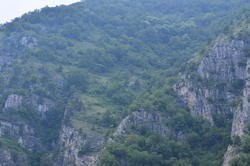 DSC_3175.JPG