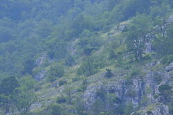 DSC_3176.JPG