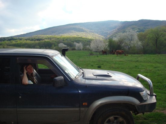 051-DSC07666.JPG.medium.jpeg