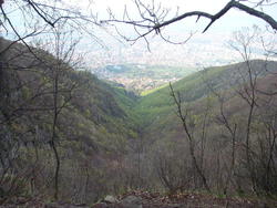 DSC02798.JPG