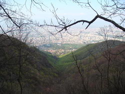 DSC02799.JPG