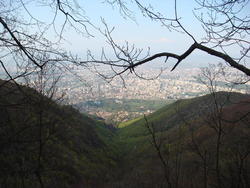 DSC02800.JPG