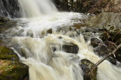 DSC_0313.JPG