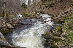 DSC_0314.JPG