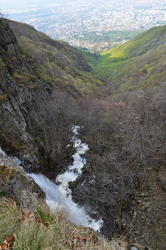 DSC_0395.JPG