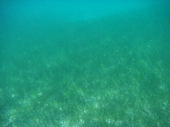 048-DSC06846.JPG.medium.jpeg