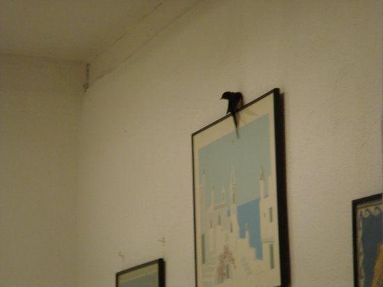 064-DSC06865.JPG.medium.jpeg