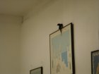 064-DSC06865.JPG.small.jpeg