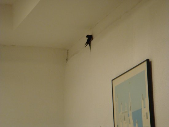 065-DSC06866.JPG.medium.jpeg