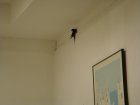 065-DSC06866.JPG.small.jpeg